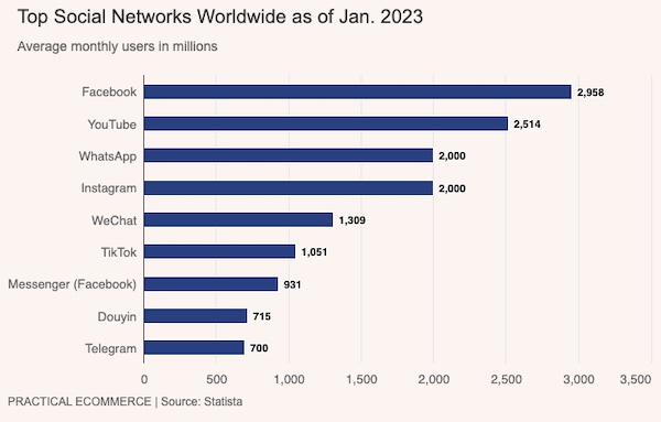 Top social networks