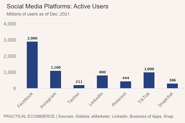 Social Media Users