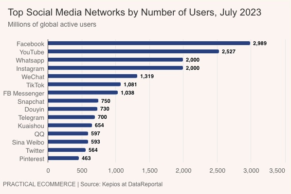 Top social networks